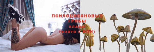 мет Богородицк